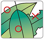 1.熊笹の選別